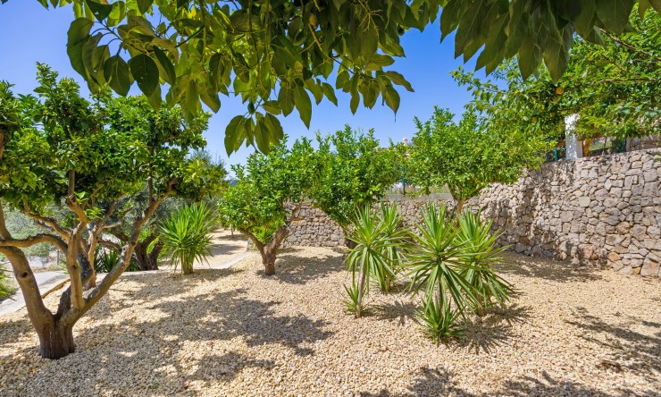 Resale - Villa -
Oliva - Oliva Pueblo