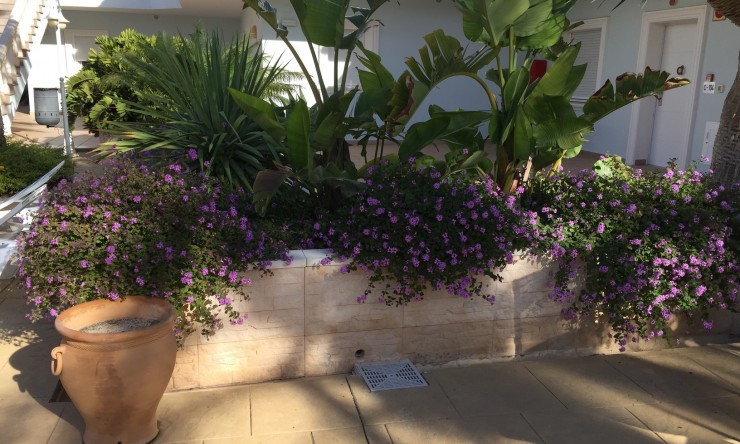 Resale - Apartment -
Benissa - La Fustera