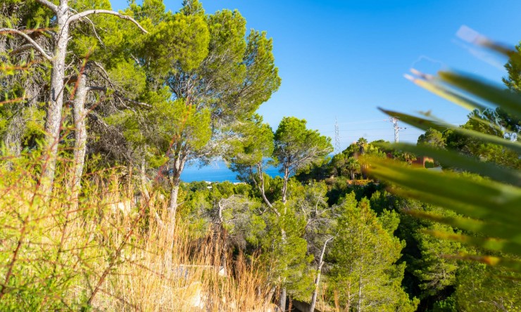 Resale - Plot -
Altea