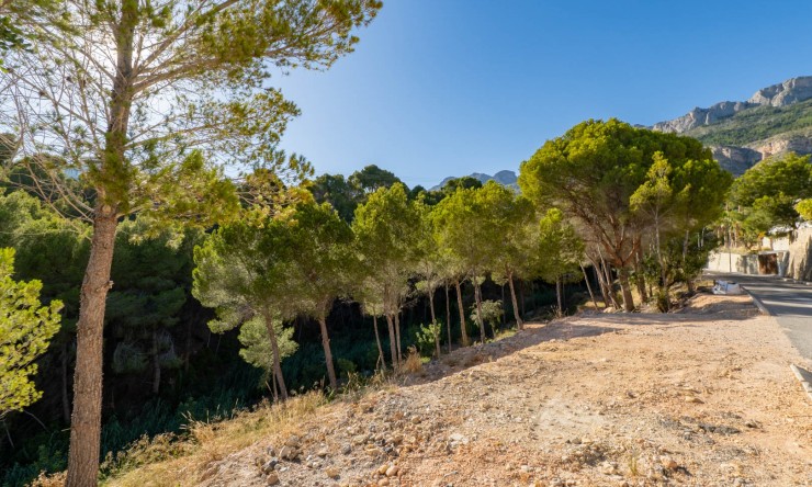 Resale - Plot -
Altea