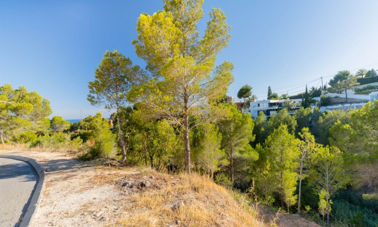 Resale - Plot -
Altea