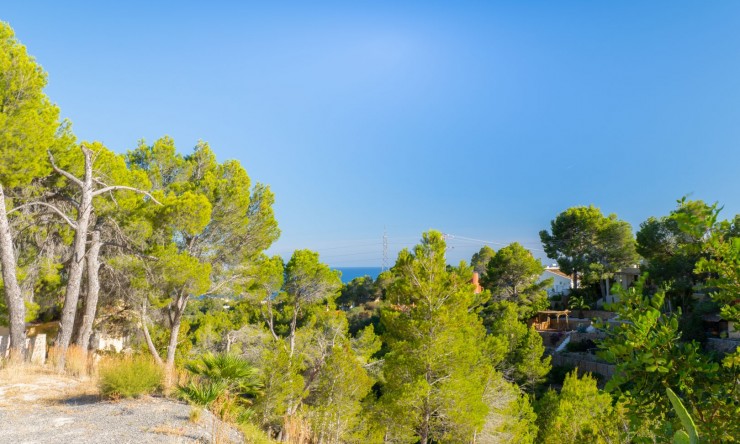 Resale - Plot -
Altea