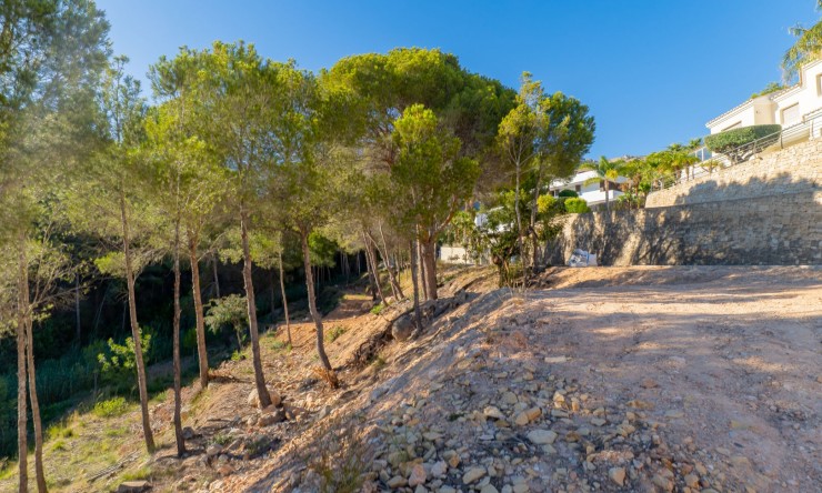 Resale - Plot -
Altea