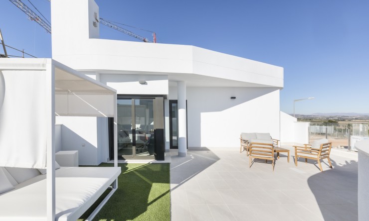 Nowe budownictwo -  -
Torrevieja
