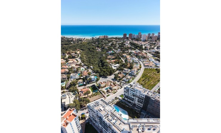 New Build - Villa -
Dehesa de Campoamor