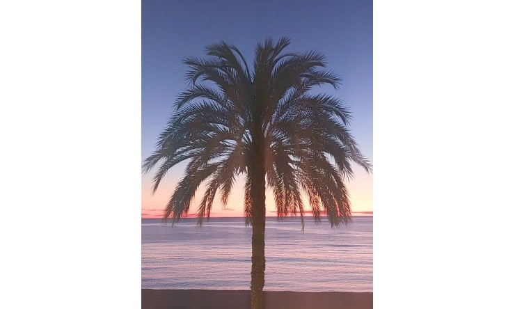 Resale - Apartment -
Altea - Altea ciudad