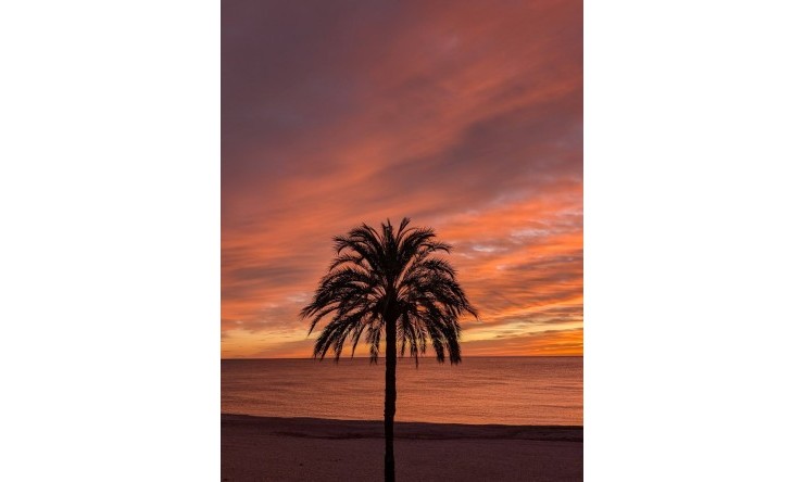 Resale - Apartment -
Altea - Altea ciudad