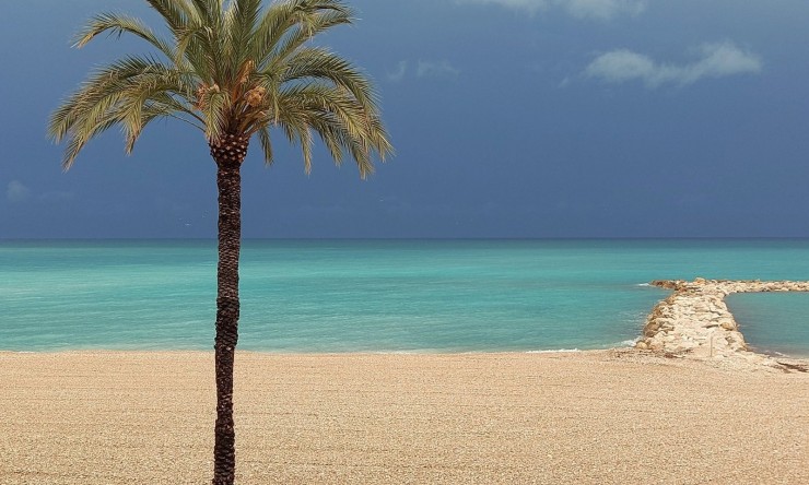 Resale - Apartment -
Altea - Altea ciudad