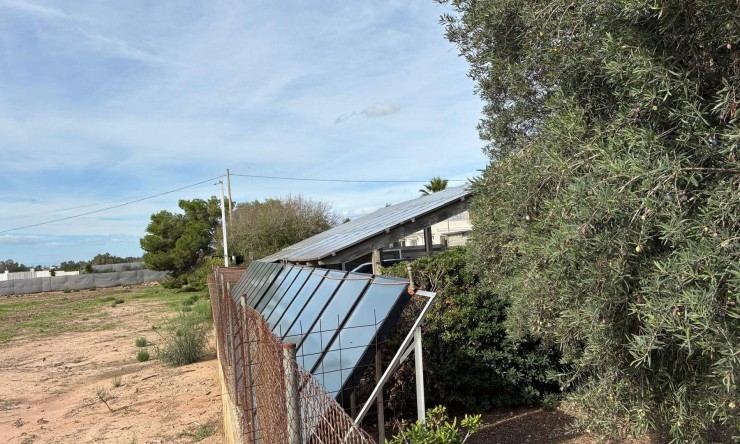 Revente - Villa -
Crevillente