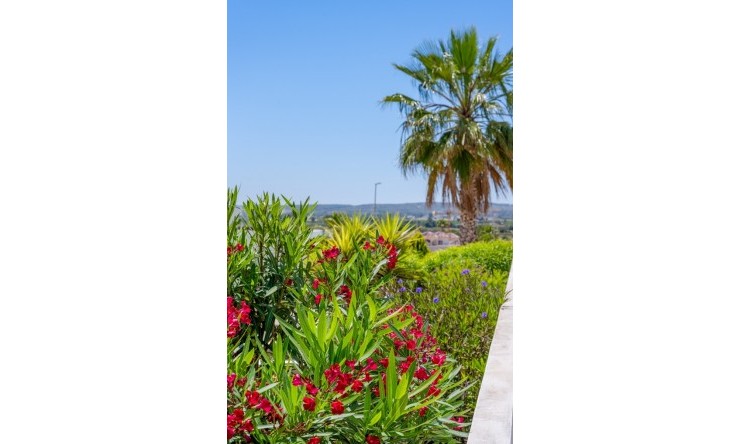Revente - Villa -
La Marina