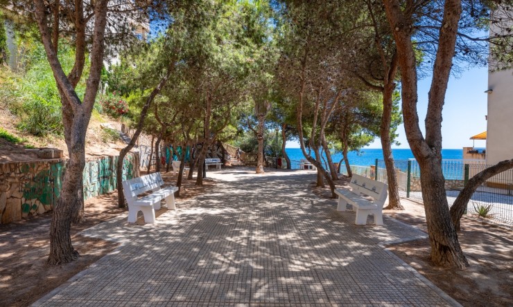Reventa - Apartamento -
Cabo Roig