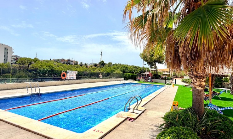 Rynek Wtórny - Apartament -
Orihuela Costa - La Zenia