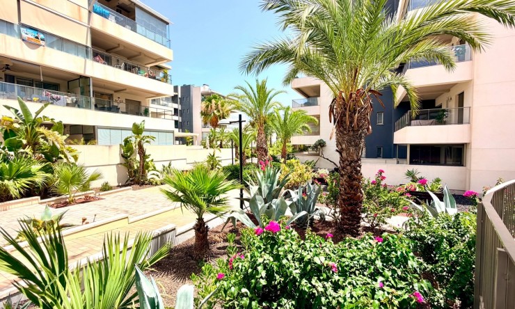 Rynek Wtórny - Apartament -
Orihuela Costa - La Zenia
