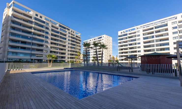 Rynek Wtórny - Apartament -
Torrevieja - Punta Prima