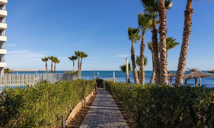 Rynek Wtórny - Apartament -
Torrevieja - Punta Prima