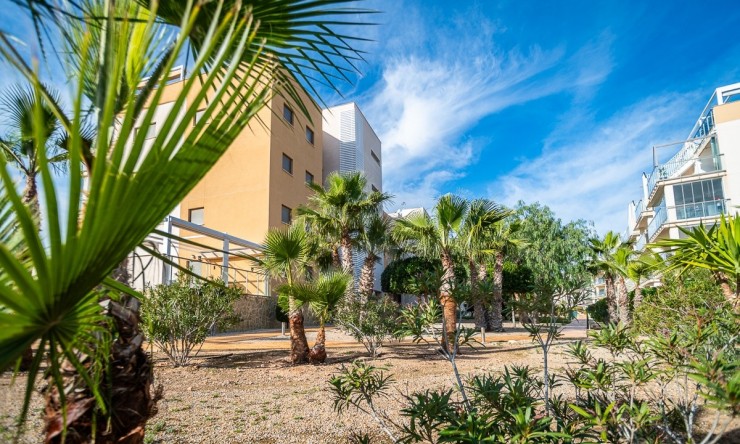 Resale - Apartment -
ORIHUELA COSTA - Los Dolses