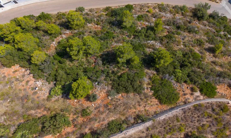 Revente - Tracé -
Denia