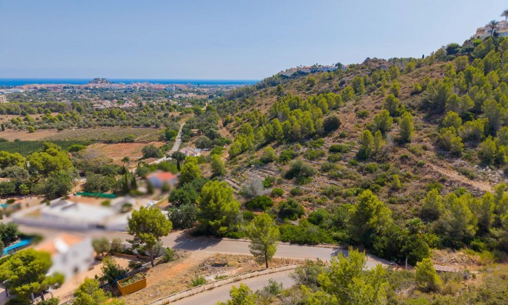Revente - Tracé -
Denia