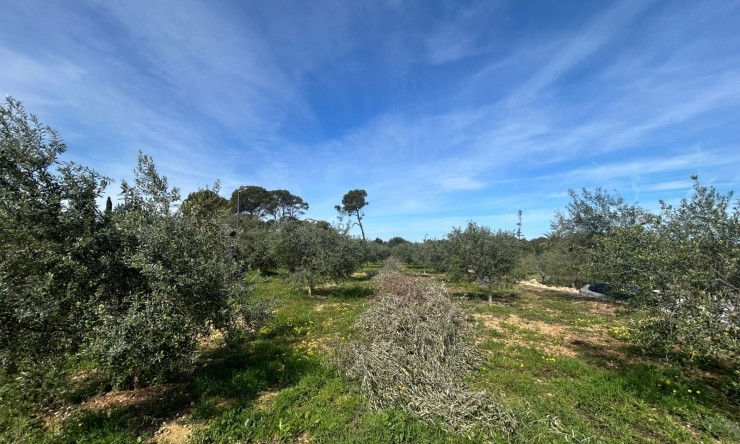 New Build - Villa -
Denia - La Xara - La Sella