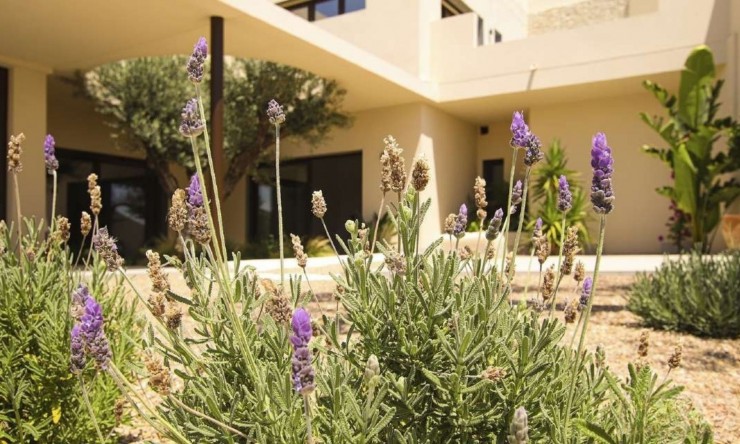 New Build - Villa -
La Marina