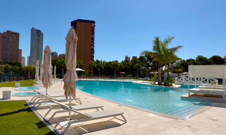 Resale - Apartment -
Benidorm - Playa Poniente