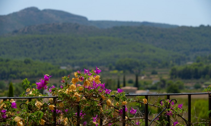 Resale - Villa -
Jalón - La Almazara