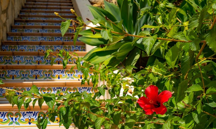 Resale - Villa -
Jalón - La Almazara