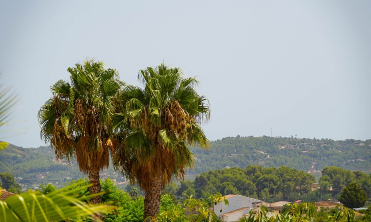 Resale - Villa -
Jalón - La Almazara