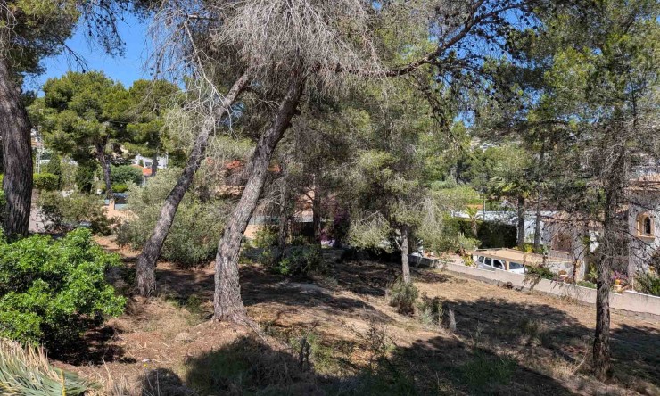 Resale - Plot -
Moraira - Pinar del Advocat