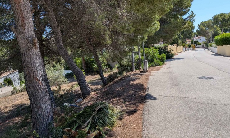 Resale - Plot -
Moraira - Pinar del Advocat