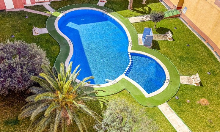 Resale - Apartment -
TORREVIEJA - Parque de las Naciones