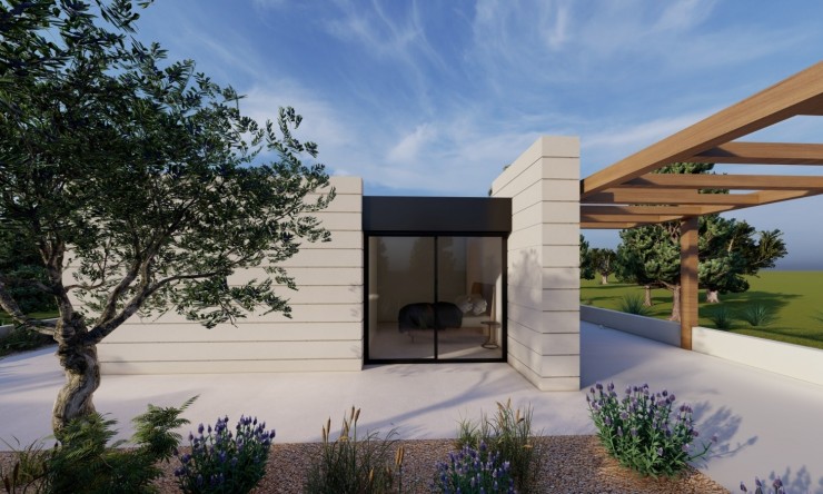 New Build - Villa -
Pilar de la Horadada