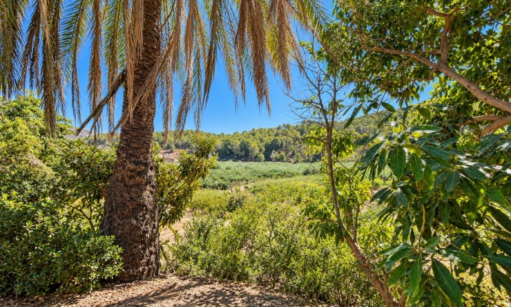 Reventa - Casa de campo -
Altea - Altea La Vella