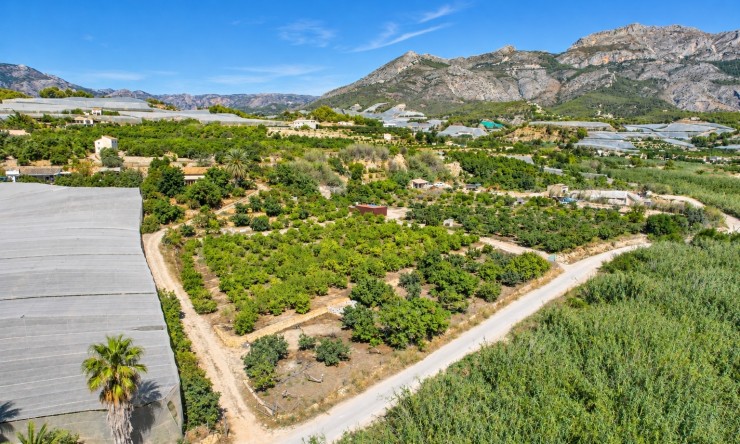 Reventa - Casa de campo -
Altea - Altea La Vella