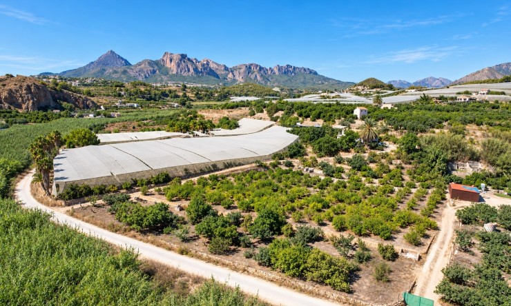 Reventa - Casa de campo -
Altea - Altea La Vella