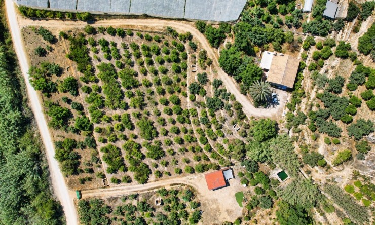 Reventa - Casa de campo -
Altea - Altea La Vella