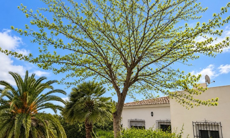 Rynek Wtórny - Willa -
Jávea / Xàbia - Cap Martí - El Tossalet - Pinomar