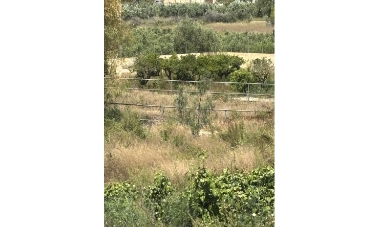 Reventa -  -
Altea - Altea La Vella