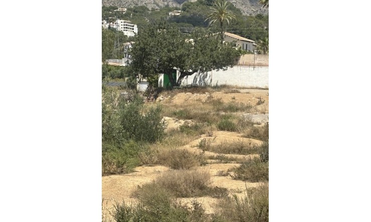 Reventa -  -
Altea - Altea La Vella