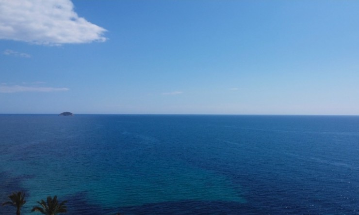 Nueva construcción  -  -
Villajoyosa / La Vila Joiosa - Platja de Torres