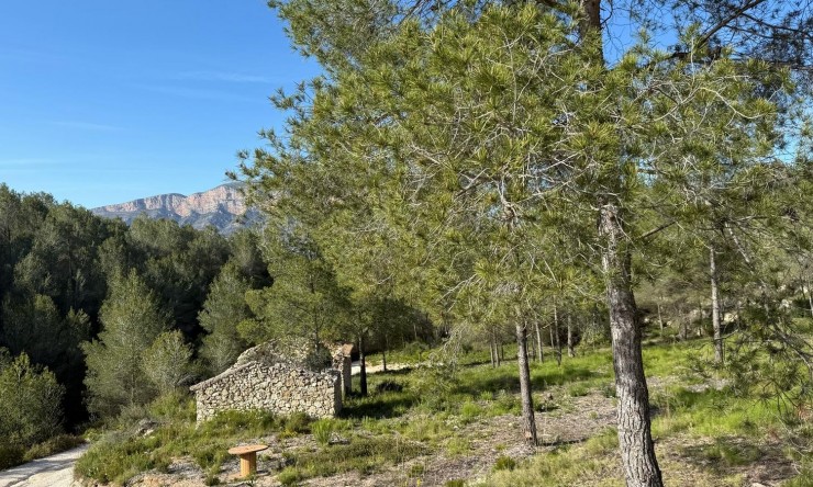 Reventa - Casa de campo -
Jávea / Xàbia - Partides comunes - Adsubia