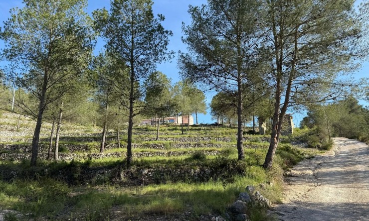 Reventa - Casa de campo -
Jávea / Xàbia - Partides comunes - Adsubia