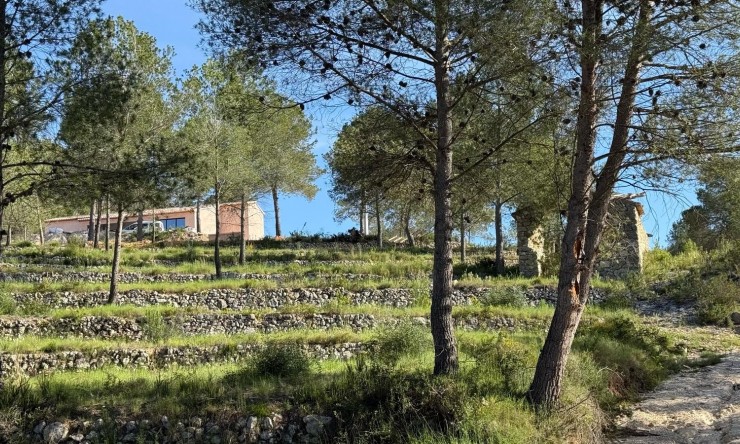 Reventa - Casa de campo -
Jávea / Xàbia - Partides comunes - Adsubia