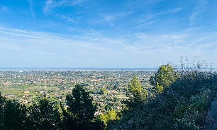 Reventa - Suelo urbano -
Pedreguer