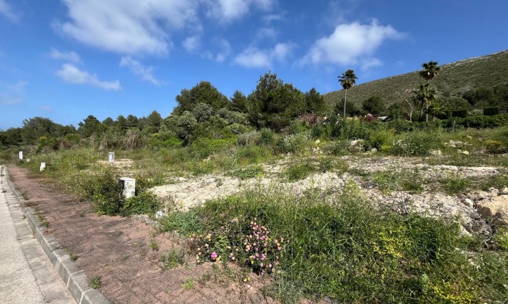 Reventa - Suelo urbano -
Jávea / Xàbia - Cap Martí - El Tossalet - Pinomar