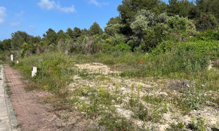Reventa - Suelo urbano -
Jávea / Xàbia - Cap Martí - El Tossalet - Pinomar