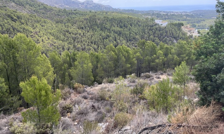 Herverkoop - Plot -
Altea