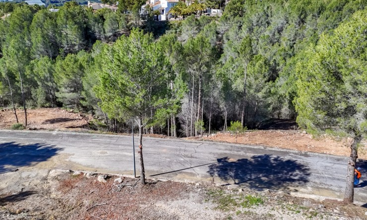 Herverkoop - Plot -
Altea