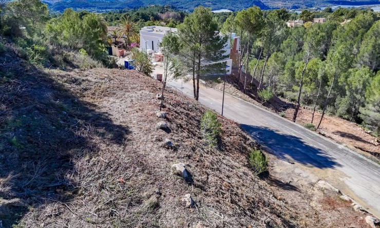 Herverkoop - Plot -
Altea