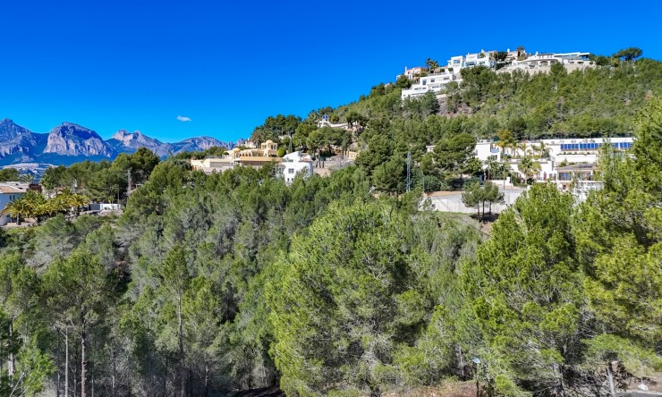 Herverkoop - Plot -
Altea